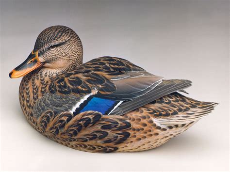 Pin on Amazing Decoys