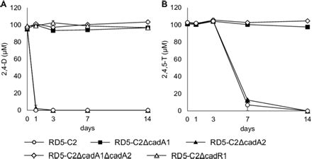 Degradation of 2,4-dichlorophenoxyacetic acid (2,4-D) (A) and ...