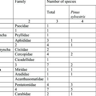 The spatial distribution of imago insects dwelling in a herbs-scrubs ...