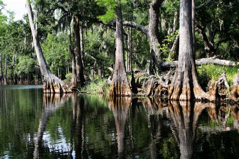 Everglades National Park - Wildlife and Excitement - 7 Days Abroad