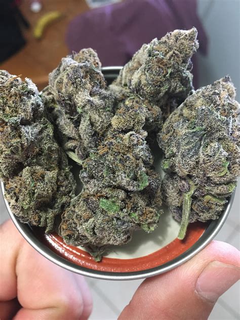 Purple Tropicana Cookies - TCF - Mid August 2020 : r/MOMpics