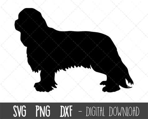 King Charles SVG Dog Svg King Charles Silhouette King - Etsy