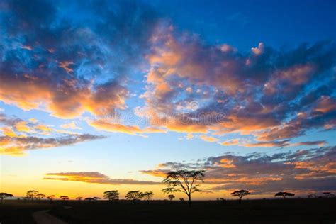 Sunset in the serengeti stock image. Image of clouds - 10375393