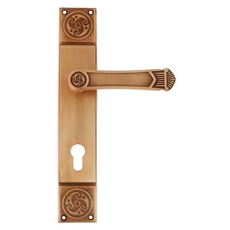 Elegant Brushed Brass Mortise Office Or Front Door Handle