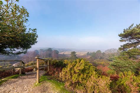 Arne Nature Reserve, Dorset - The RSPB