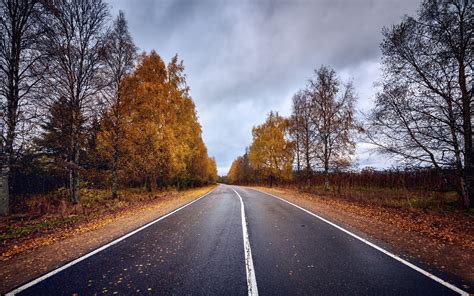 Road between trees digital wallpaper, road, trees, fall HD wallpaper ...