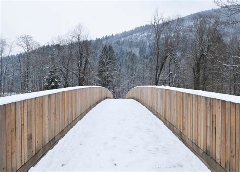 Architects create beautiful arched footbridge out of timber planks and shingles DANS Architects ...