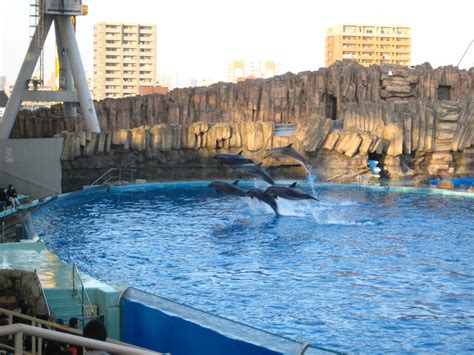 Victoria In Japan Land: Nagoya Port Aquarium