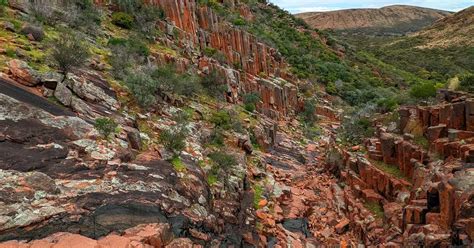 Organ Pipes Walk (1.5km) - Gawler Ranges National Park, SA