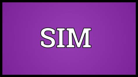 SIM Meaning - YouTube