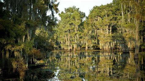 Louisiana state parks to remain on winter hours