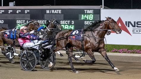 Menangle harness racing: expert comment | Illawarra Mercury ...