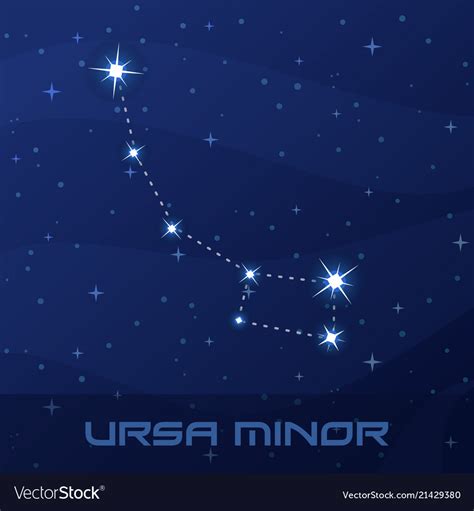 Constellation ursa minor little bear Royalty Free Vector