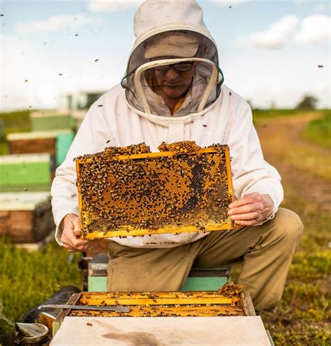 Size and scope of the Australian honey bee and pollination industry- a snapshot