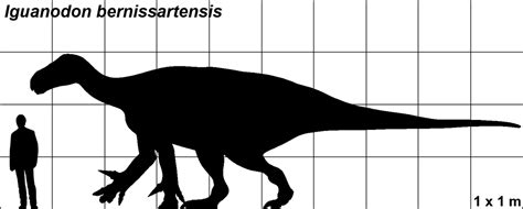 Iguanodon - Dinosaurussen