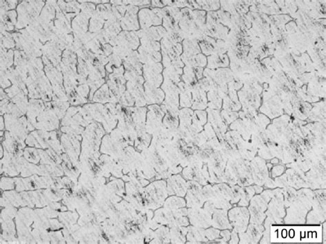 Cast microstructure of austenitic stainless steel with 6 % of d-ferrite ...