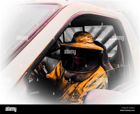 Man in bee suit hi-res stock photography and images - Alamy