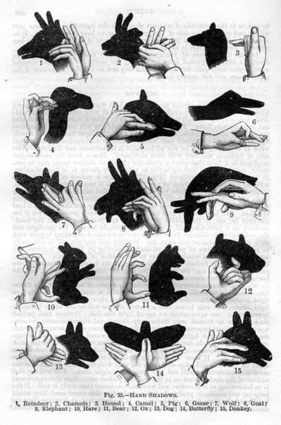 How to make simple hand shadows. Surprise your kids 🐶🐺🐭🐘🐗🐸🐒🐥🐠🐢🐇🐎🐀🐈🐌🐴🐰 | Trusper