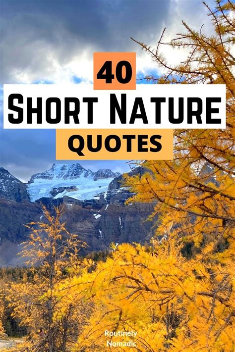 53 Short Nature Quotes: Best Inspirational Thoughts on Nature | Routinely Nomadic