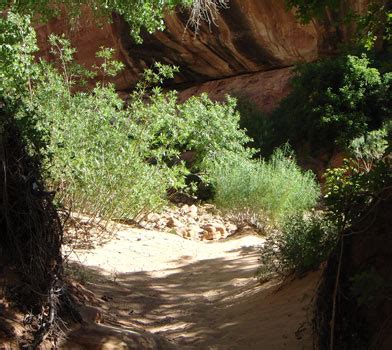 Loop Trail, Natural Bridges National Monument (UT)