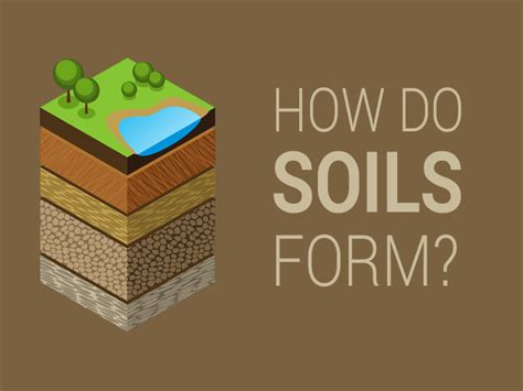 Formation of Soil - Soil Formation - ClassNotes.ng