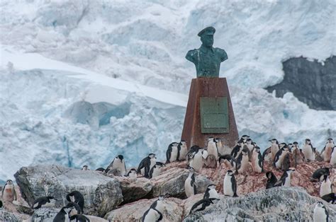 12 Photos of Elephant Island That Will Make You Want To Go To Antarctica