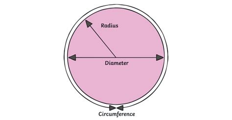 What is a radius? - Twinkl