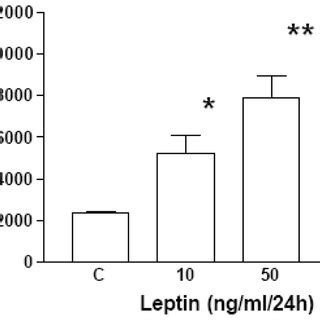 Leptin ontogeny in fetal rat lung | Download Scientific Diagram