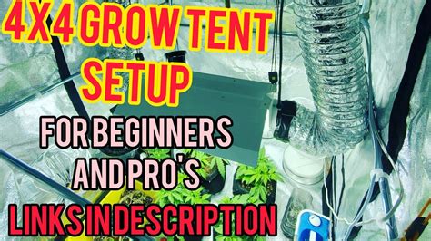 4x4 Grow Tent Setup For Beginners & Pro's - YouTube