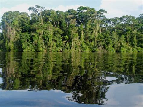 Costa Rica Hastens to Recover Its Previously Undervalued Wetlands | Q COSTA RICA