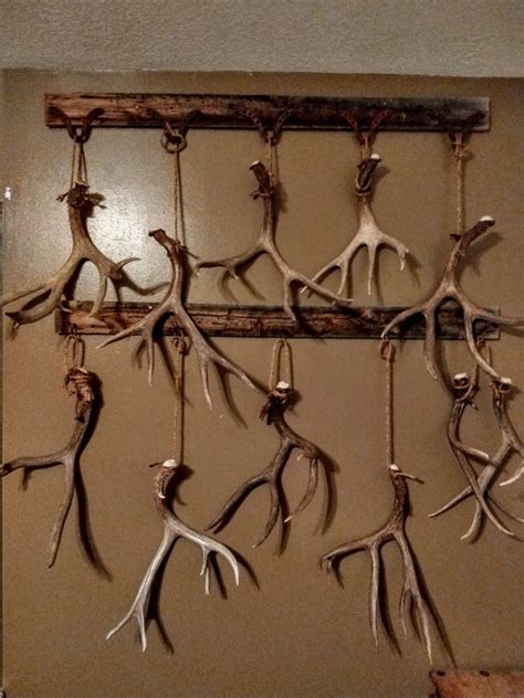 20+ Ways To Display Deer Sheds – The Urban Decor