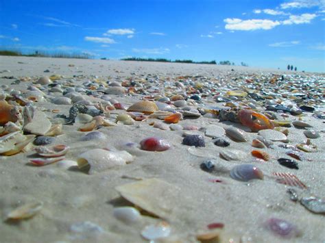 Shell Key Preserve at St Petersburg, FL | Where to go