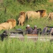 Kasane: Full Day Chobe National Park Safari with Lunch | GetYourGuide