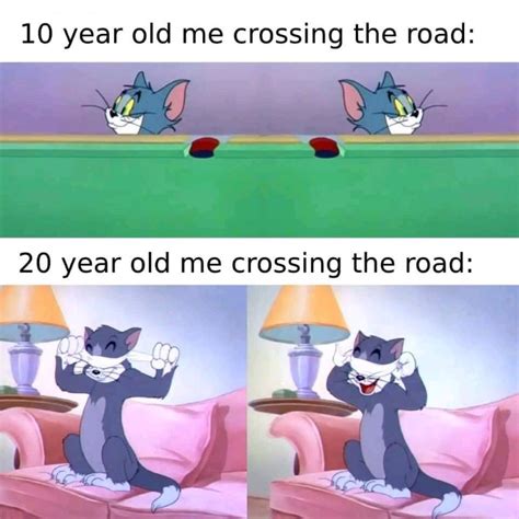 160+ Funny Tom And Jerry Memes To Keep You Laughing – FandomSpot