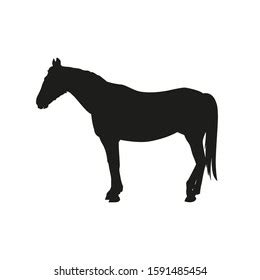 Silhouette Standing Horse Side View Vector Stock Vector (Royalty Free) 1591485454 | Shutterstock