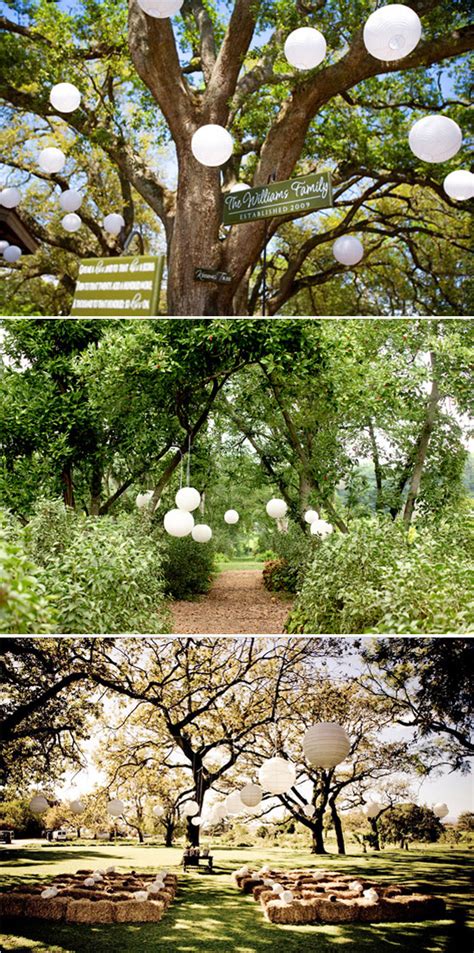 Garden Wedding Decorations In Malawi