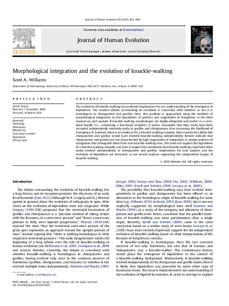 (PDF) Morphological integration and the evolution of knuckle-walking ...