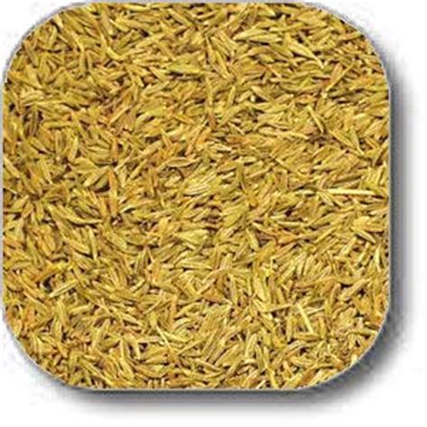 Whole Cumin Seeds | MySpicer | Bulk Herbs & Spices