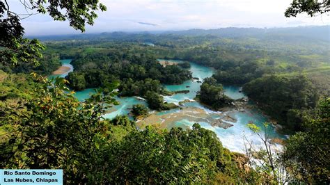 The Lacandon Jungle in Mexico | Spanish Language Blog