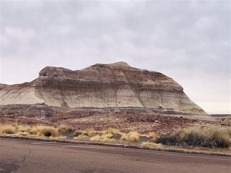 Petrified Forest National Park (Holbrook) - All You Need to Know BEFORE You Go - Updated 2019 ...