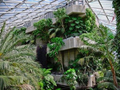 The Barbican Conservatory, London Barbican Conservatory I went to t he Barbican back in 2002 to ...