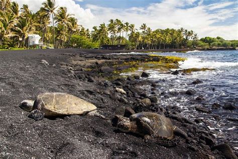 Punaluʻu Black Sand Beach, Big Island of Hawaii | Tickets & Tours - 2024