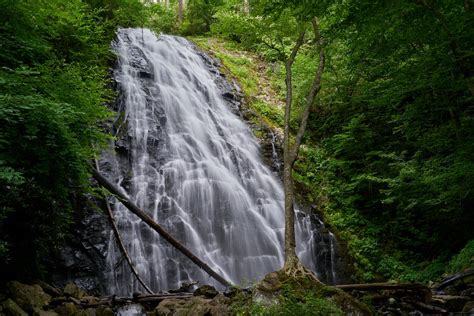 Waterfalls in Between Green Trees · Free Stock Photo