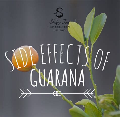 The Truth About Guarana: Is it Really Good for you? – Shelgo Tea