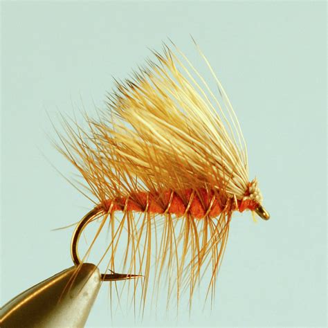 Top 3 October Caddis Fly Patterns - The Missoulian Angler Fly Shop