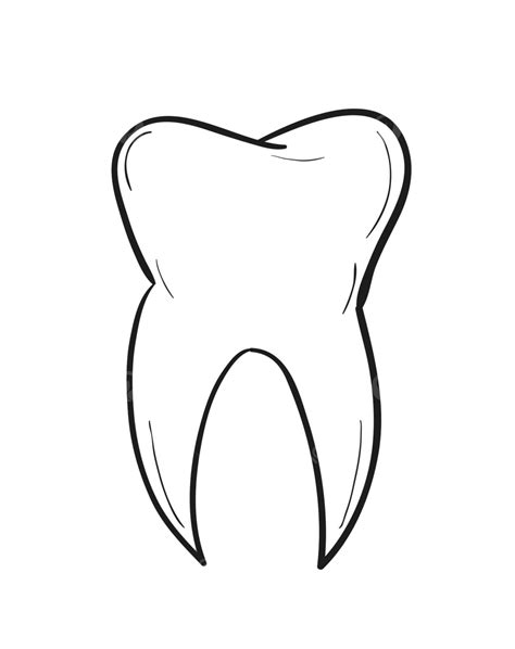 Tooth Anatomy Medlineplus Medical Encyclopedia Image - vrogue.co