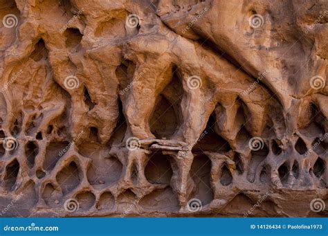 Algeria Sahara desert stock photo. Image of desert, light - 14126434