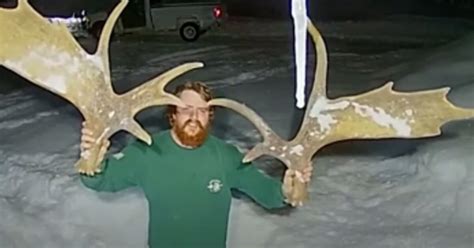 Ring Camera Video: Moose Sheds Both Antlers… | Grand View Outdoors