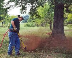 Air Spade - An Artistic Arborist