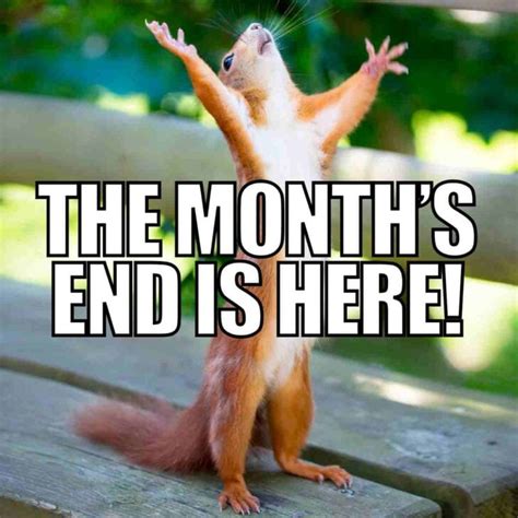 21 Best End Of The Month Memes To Finish Well With A LOL